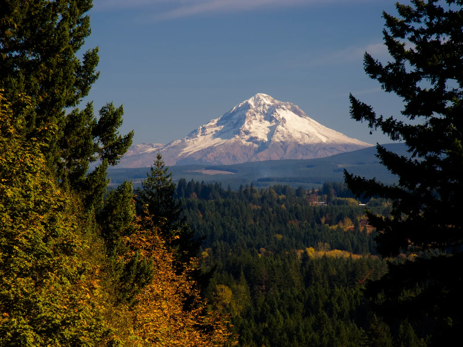 Mt Hood from McIver Park Estacada Oregon